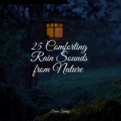 25 Comforting Rain Sounds from Nature