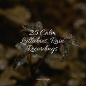 25 Calm Lullabies: Rain Recordings