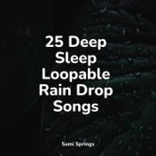 25 Deep Sleep Loopable Rain Drop Songs