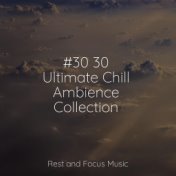 #30 30 Ultimate Chill Ambience Collection