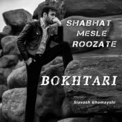 Shabhat Mesle Roozate