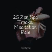 25 Zen Spa Tracks: Meditation Rain
