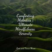 Comforting Melodies | Ultimate Mindfulness, Serenity