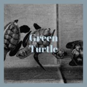 Green Turtle