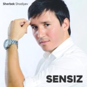 Sensiz