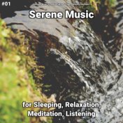 #01 Serene Music for Sleeping, Relaxation, Meditation, Listening