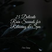 25 Delicate Rain Sounds for Relaxing & Spa