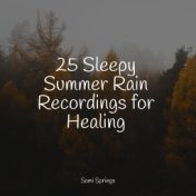 25 Sleepy Summer Rain Recordings for Healing