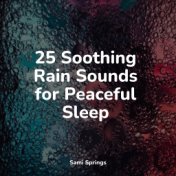 25 Soothing Rain Sounds for Peaceful Sleep