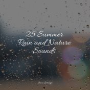 25 Summer Rain and Nature Sounds
