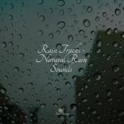 Rain Tracks - Natural Rain Sounds