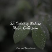 35 Calming Nature Music Collection