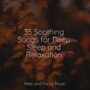 35 Soothing Songs for Deep Sleep and Relaxation