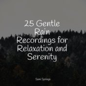 25 Gentle Rain Recordings for Relaxation and Serenity