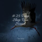 #25 Deep Sleep Rain Sounds