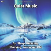 #01 Quiet Music for Sleep, Relaxing, Studying, Young and Old