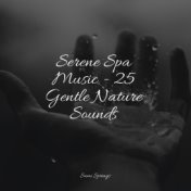 Serene Spa Music - 25 Gentle Nature Sounds