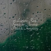 25 Loopable Rain Sounds for Absolute Peace & Tranquility