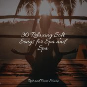 30 Relaxing Soft Songs for Spa and Spa