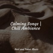 Calming Songs | Chill Ambience