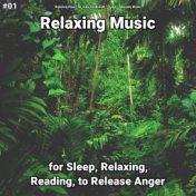 #01 Relaxing Music for Sleep, Relaxing, Reading, to Release Anger