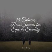 25 Calming Rain Sounds for Spa & Serenity