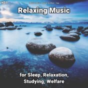 #01 Relaxing Music for Sleep, Relaxation, Studying, Welfare