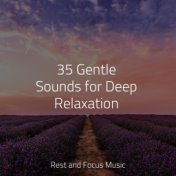 35 Gentle Sounds for Deep Relaxation