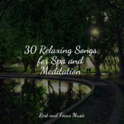 30 Relaxing Songs for Spa and Meditation