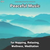 #01 Peaceful Music for Napping, Relaxing, Wellness, Meditation