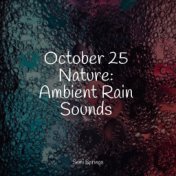 October 25 Nature: Ambient Rain Sounds