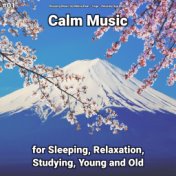 #01 Calm Music for Sleeping, Relaxation, Studying, Young and Old