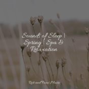 Sounds of Sleep | Spring | Spa & Relaxation