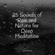 25 Sounds of Rain and Nature for Deep Meditation