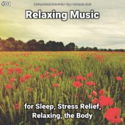 #01 Relaxing Music for Sleep, Stress Relief, Relaxing, the Body