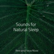 Sounds for Natural Sleep