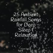 25 Ambient Rainfall Songs for Deep Sleep & Relaxation