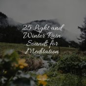 25 Light and Winter Rain Sounds for Meditation