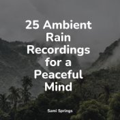 25 Ambient Rain Recordings for a Peaceful Mind