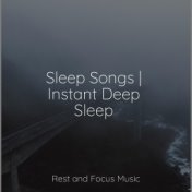 Sleep Songs | Instant Deep Sleep