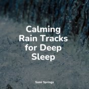 Calming Rain Tracks for Deep Sleep