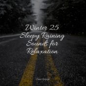 Winter 25 Sleepy Raining Sounds for Relaxation