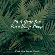 35 A Year for Pure Deep Sleep