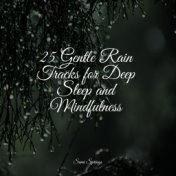 25 Gentle Rain Tracks for Deep Sleep and Mindfulness