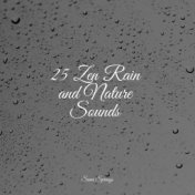 25 Zen Rain and Nature Sounds