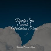 Beauty Spa Sounds | Meditation Focus