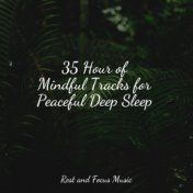35 Hour of Mindful Tracks for Peaceful Deep Sleep