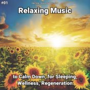 #01 Relaxing Music to Calm Down, for Sleeping, Wellness, Regeneration
