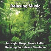 #01 Relaxing Music for Night Sleep, Stress Relief, Relaxing, to Release Serotonin