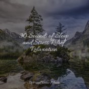 30 Sounds of Sleep and Stress Relief Relaxation
